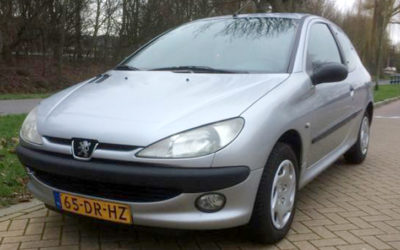 Peugeot 206 1.1 XN 3D 1999 Grijs