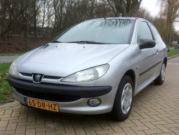 Peugeot 206 1.1 XN 3D 1999 Grijs